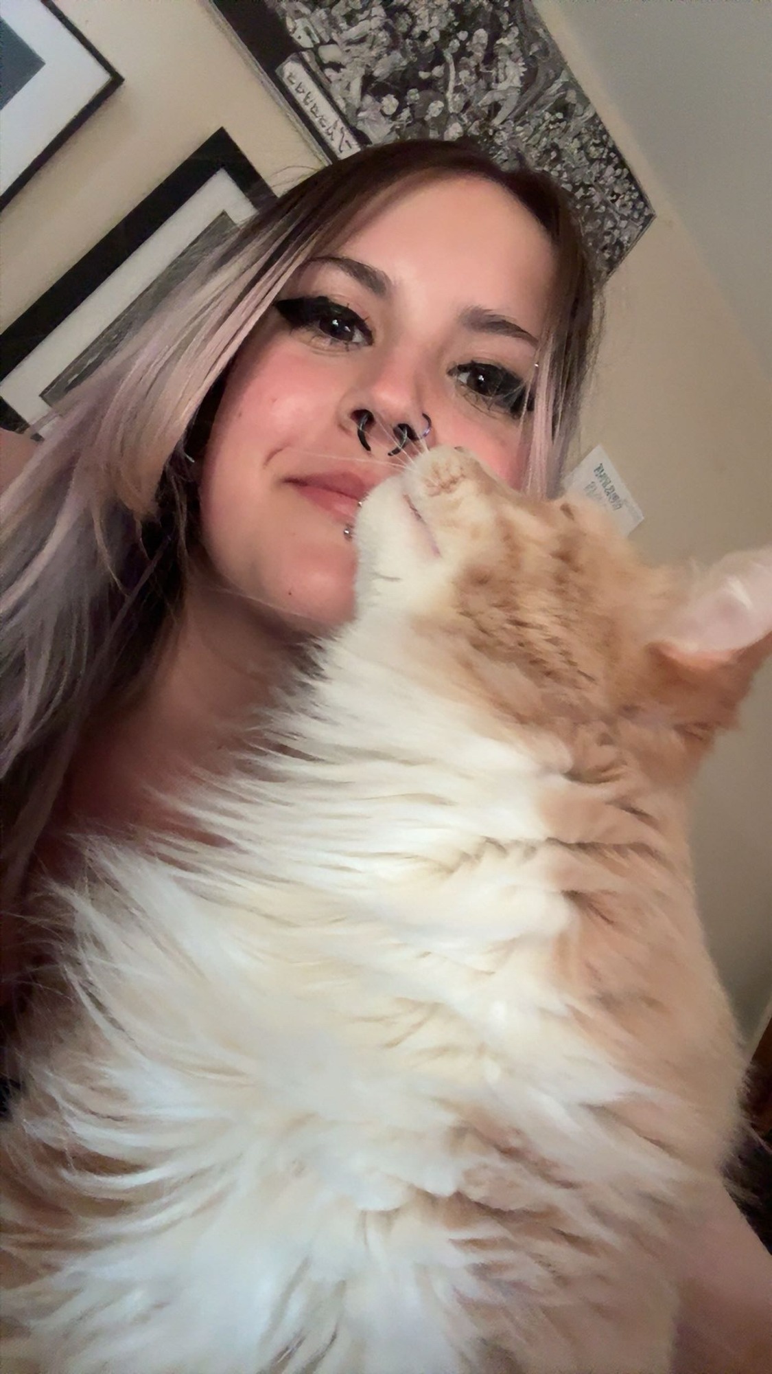 Mae, Weekday Pet Partner