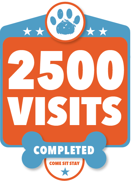 2500 Visits 2500 Visits