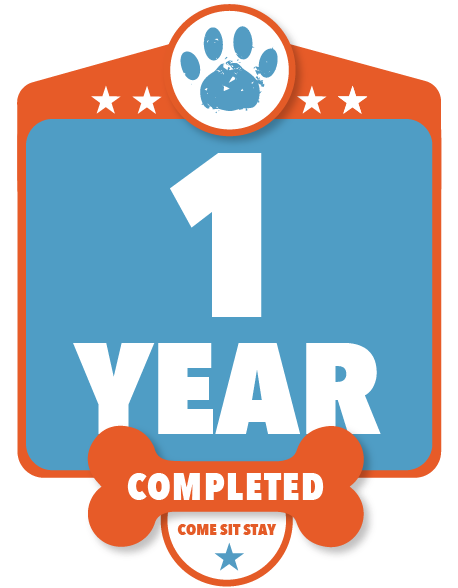 1 Year Completed 1 Year Completed