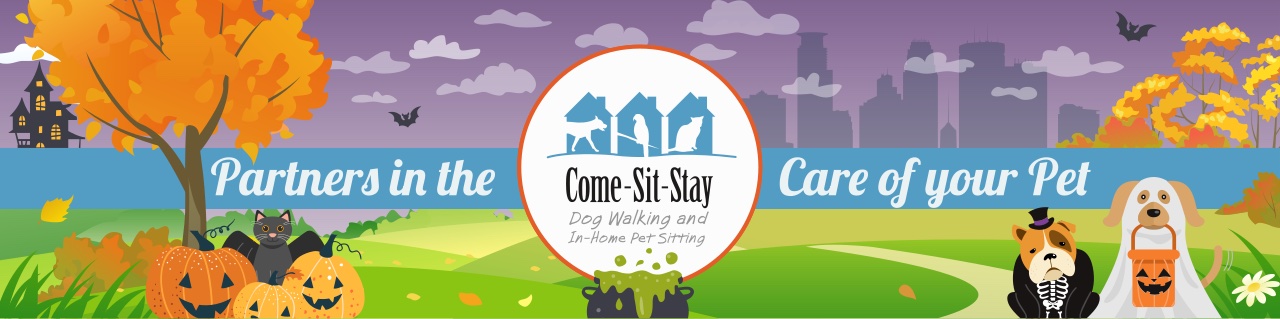 Come, Sit, Stay: Partners in the care of your pet. Dog walking and in-home pet sitting. Halloween scene with jack-o-lanterns and costumed dogs.